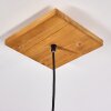 Shiburg Hanger Hout licht, 1-licht