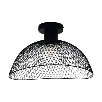 Eglo POMPEYA Plafondlamp Zwart, 1-licht