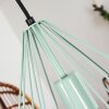 Zarembo Hanger Groen, 1-licht