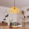 Flansum Hanger Zwart, 1-licht