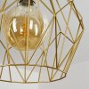 Marang Hanglamp Goud, 1-licht