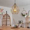 Marang Hanglamp Goud, 1-licht