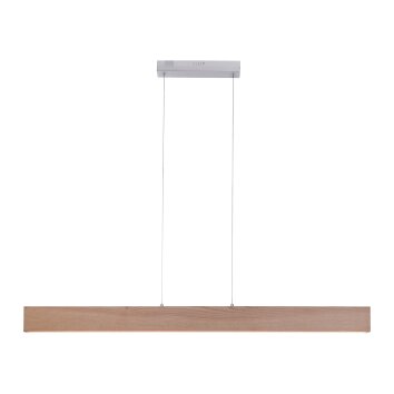 Paul Neuhaus Q-TIMBER Hanglamp LED Hout licht, 1-licht, Afstandsbediening