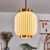 Dyce Hanglamp Zwart, 1-licht