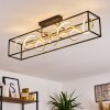 Pericos Plafondlamp LED Goud, Zwart, 4-lichts