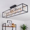 Pericos Plafondlamp LED Goud, Zwart, 4-lichts