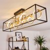 Pericos Plafondlamp LED Goud, Zwart, 4-lichts