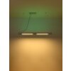 Globo HODARI Hanger LED Wit, 1-licht, Afstandsbediening, Kleurwisselaar