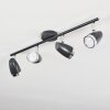 Idlewild Plafondlamp LED Zwart, 4-lichts