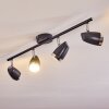 Idlewild Plafondlamp LED Zwart, 4-lichts