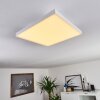 Buenaventura Plafondlamp LED Wit, 1-licht, Afstandsbediening