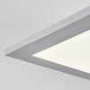 Farc Plafondlamp LED Zilver, 1-licht, Afstandsbediening