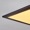 Nexo Plafondlamp LED Zwart, 1-licht, Afstandsbediening