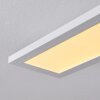 Nexo Plafondlamp LED Wit, 1-licht, Afstandsbediening