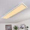 Salamo Plafondlamp LED Wit, 2-lichts, Afstandsbediening