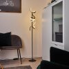 Lavaca Staande lamp LED Zwart, 2-lichts