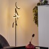 Lavaca Staande lamp LED Zwart, 2-lichts