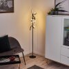 Lavaca Staande lamp LED Zwart, 2-lichts