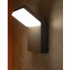 Mantra ALPINE Buiten muurverlichting LED Grijs, 1-licht