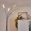 Totara Staande lamp LED Zwart, 5-lichts