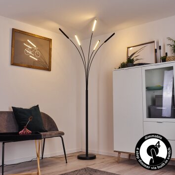 Totara Staande lamp LED Zwart, 5-lichts