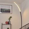 Tobillos Staande lamp LED Zwart, 1-licht