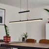 Barrud Hanglamp LED Zwart, 1-licht