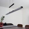 Barrud Hanglamp LED Zwart, 1-licht