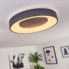 Casina Plafondlamp LED Antraciet, Wit, 1-licht, Afstandsbediening