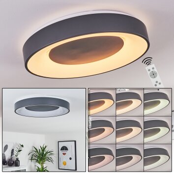 Casina Plafondlamp LED Antraciet, Wit, 1-licht, Afstandsbediening