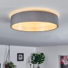 Elsa Plafondlamp LED Wit, 1-licht