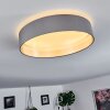 Elsa Plafondlamp LED Wit, 1-licht