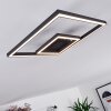 Cavareno Plafondlamp LED Zwart, 1-licht