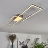 Torresella Plafondlamp LED Nikkel mat, 2-lichts, Afstandsbediening