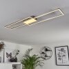 Torresella Plafondlamp LED Nikkel mat, 2-lichts, Afstandsbediening