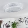 Suno Plafondlamp LED Transparant, Helder, Wit, 1-licht