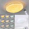 Rosenga Plafondlamp LED Wit, 1-licht, Afstandsbediening