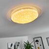 Rosenga Plafondlamp LED Wit, 1-licht, Afstandsbediening