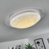 Rosenga Plafondlamp LED Wit, 1-licht, Afstandsbediening