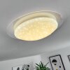 Rosenga Plafondlamp LED Wit, 1-licht, Afstandsbediening