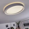 Beade Plafondlamp LED Grijs, Wit, 1-licht, Afstandsbediening, Kleurwisselaar