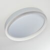 Beade Plafondlamp LED Grijs, Wit, 1-licht, Afstandsbediening, Kleurwisselaar