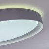 Beade Plafondlamp LED Grijs, Wit, 1-licht, Afstandsbediening, Kleurwisselaar