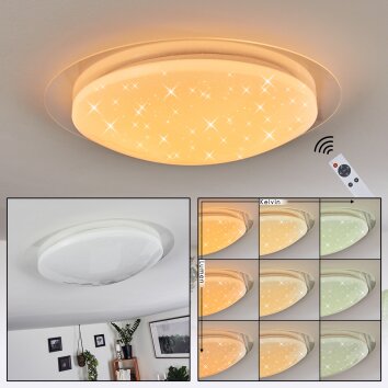 Rosenga Plafondlamp LED Wit, 1-licht, Afstandsbediening