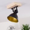 Tina Plafondlamp Hout donker, Zwart, 1-licht