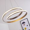 Rokera Hanglamp LED Nikkel mat, 1-licht