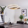 Rokera Hanglamp LED Nikkel mat, 1-licht