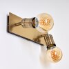 Lagunita Muurlamp Goud, 2-lichts