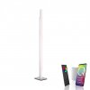 Paul Neuhaus Q-TOWER Staande lamp LED Aluminium, 2-lichts, Afstandsbediening