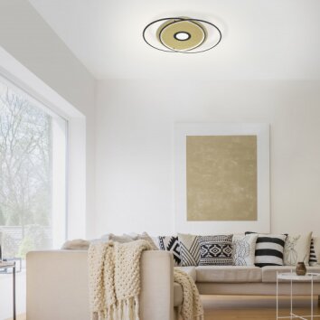 Paul Neuhaus Q-AMIRA Plafondlamp LED Zwart, 1-licht, Afstandsbediening